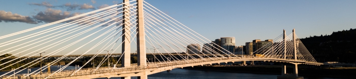 Stephano Cetola's cover banner