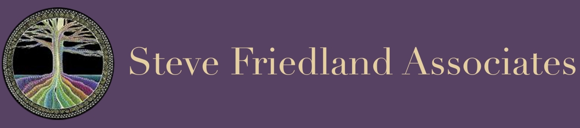 Steve Friedland's cover banner