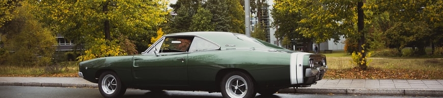 Steve Williamson's cover banner