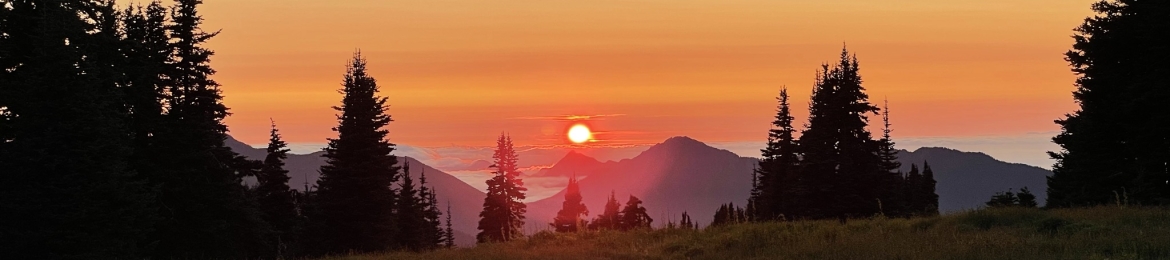 Stuart Chapman's cover banner