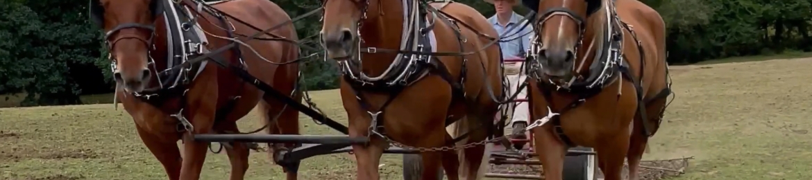 Stuart Harrison's cover banner