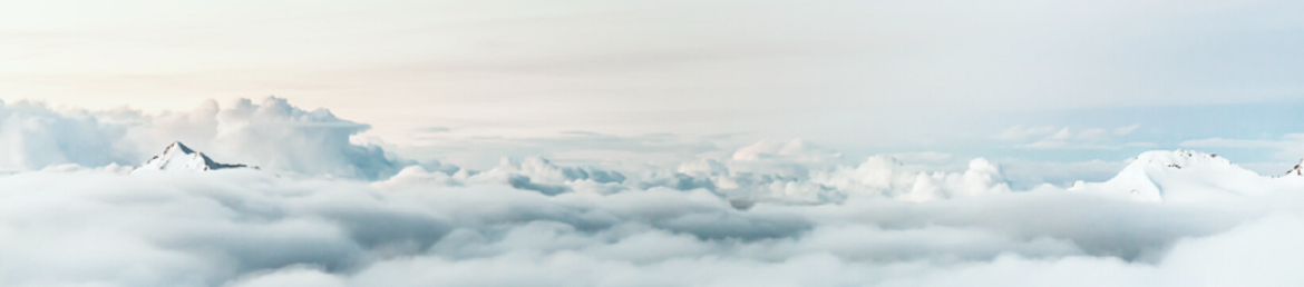 Sune Gaulsh's cover banner