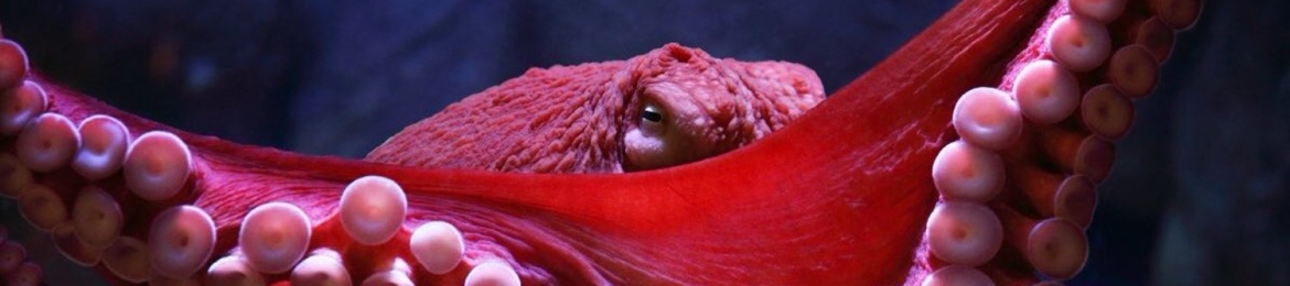 Susan Larkin's cover banner