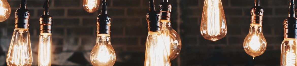 Susie Alegre's cover banner