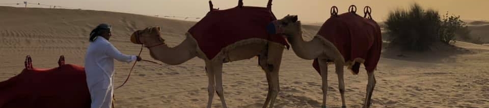 Tammy Milsky's cover banner