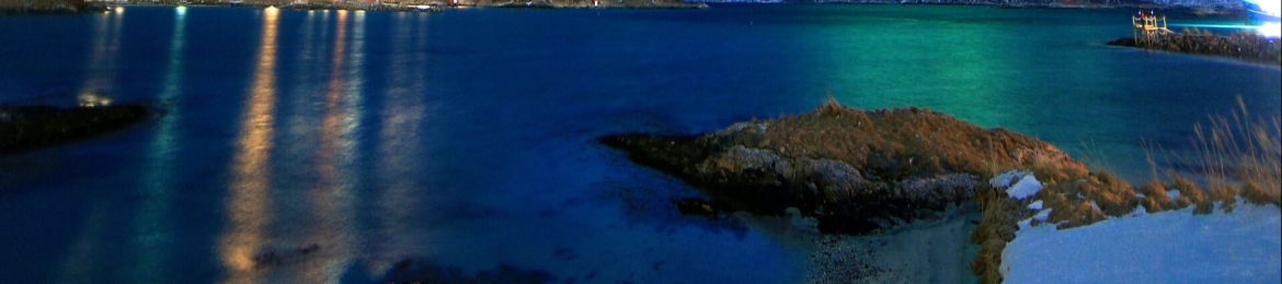 Tan Swee Leon's cover banner