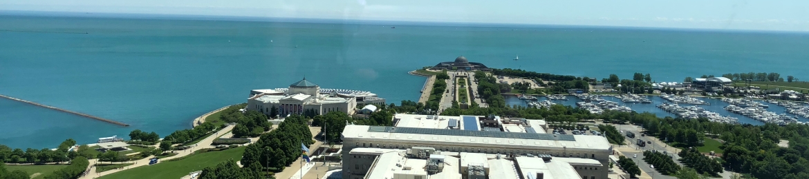 Tanjia Coleman, Ph.D., MSIR's cover banner