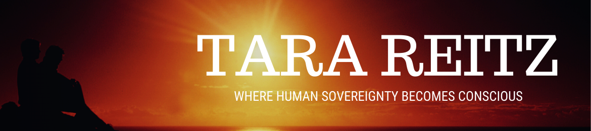 Tara Reitz's cover banner