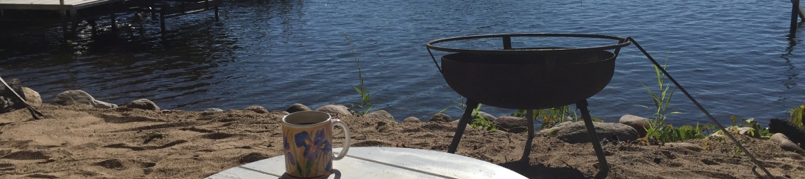 Terri Mattson's cover banner