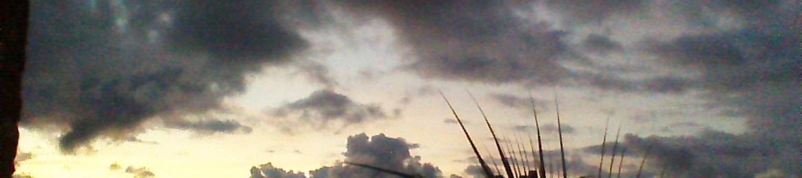 Terry Chase's cover banner