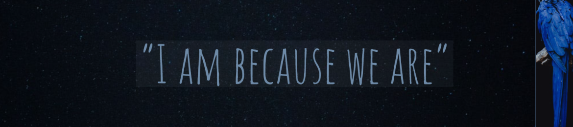 Dr Theodore Orlando Duxbury's cover banner