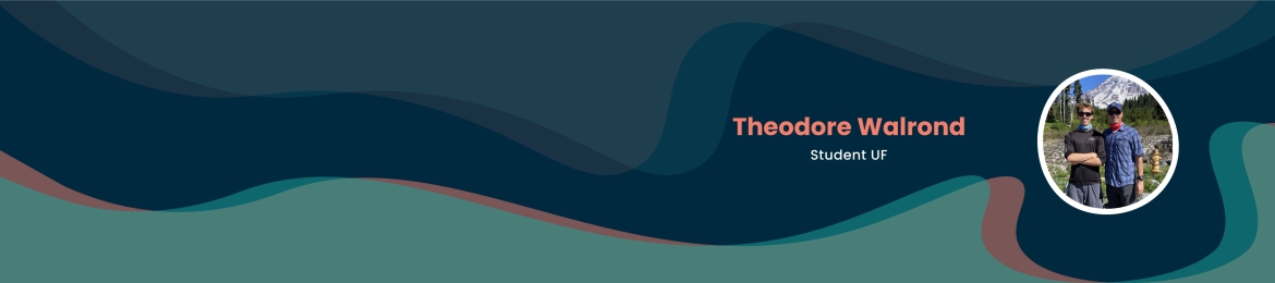 Theodore Walrond's cover banner