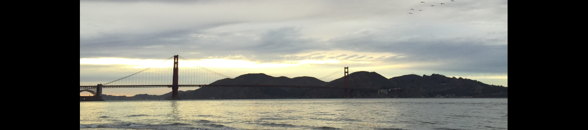 Tom Vorves's cover banner