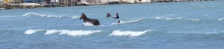 Tracey Smith's cover banner