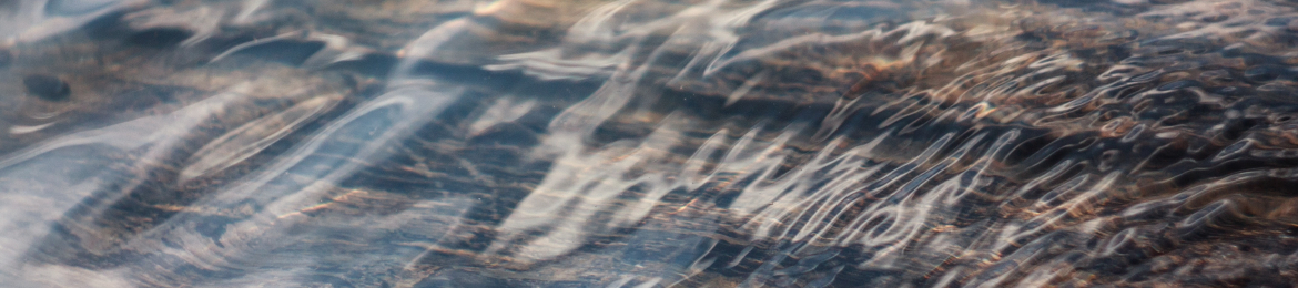 Travis Birch's cover banner