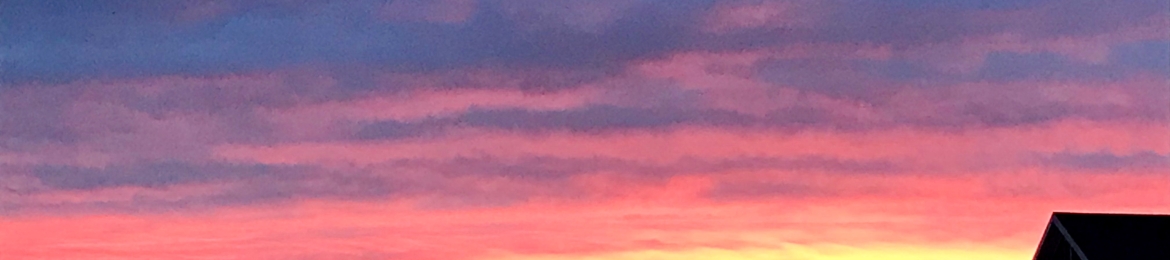 Trevor Kacedon's cover banner