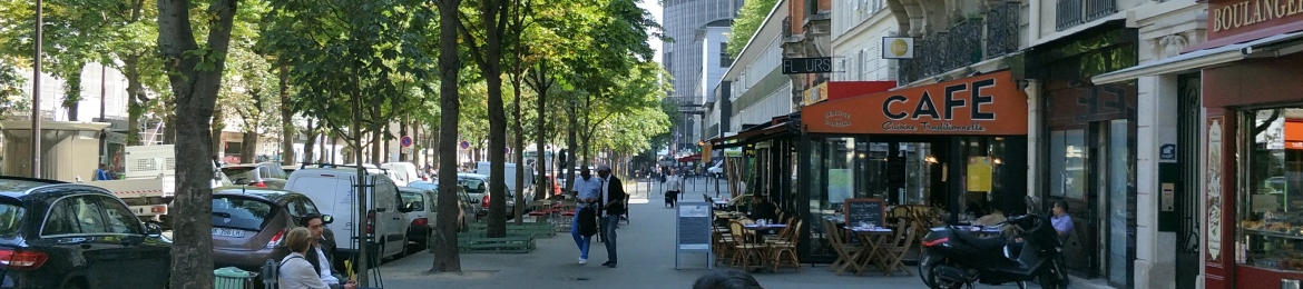 Vani Pulijala's cover banner