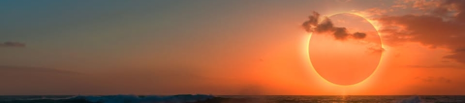 Vibert Noble's cover banner