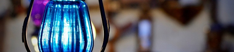 Vidhi Mehrotra's cover banner