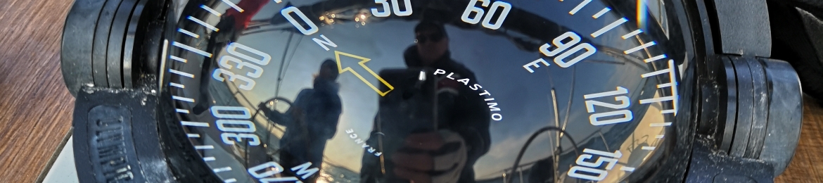 Vsevolod Gavrilov's cover banner