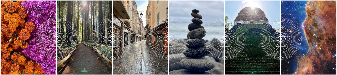 Will Cady's cover banner