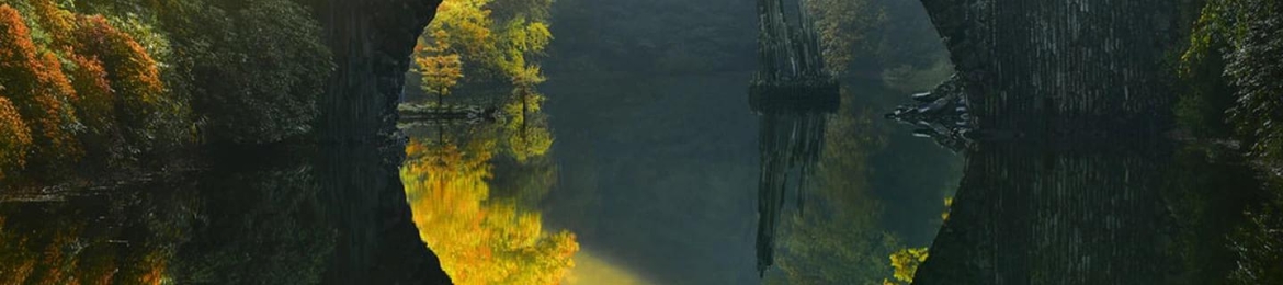 Wolf Bueschgen's cover banner