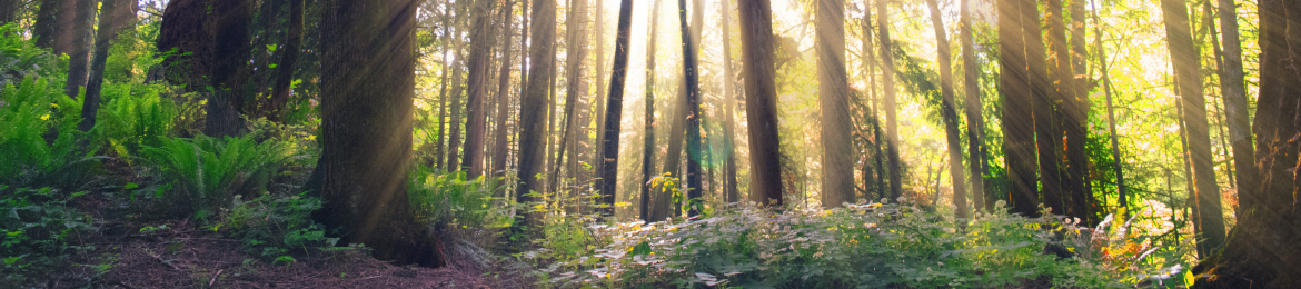 Yuri Kruman's cover banner