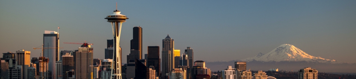 Zane McCune's cover banner