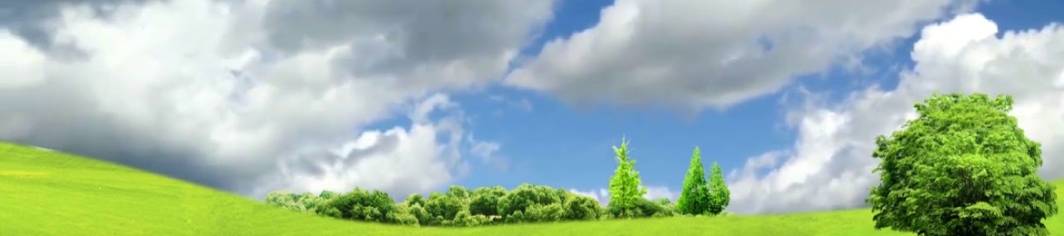 Zarif Haque's cover banner