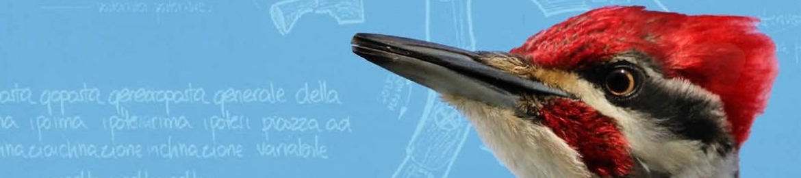 franco lodato's cover banner