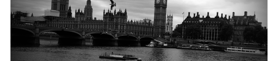 priyanka mallik's cover banner