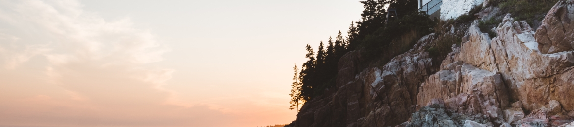 scott fish's cover banner