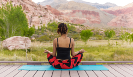 Events to speak at in 2021 The health and wellness report