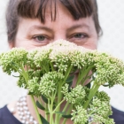 Meredith Lewis's picture