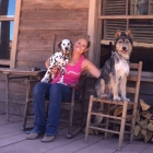 Chelsey Lewis Trainer's picture Chelsey Lewis Trainer's picture