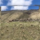 Cory Carnley Of Gainesville's picture