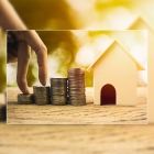 Shawn Kaleta's picture