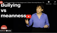 TEDx: Conflict Resolution on the Playground (Is It Bullying or Ordinary Meanness?)