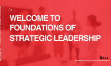 Strategic Leadership: Guiding Change and Achieving Organizational Goals
