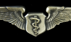 Flight Surgeon wings